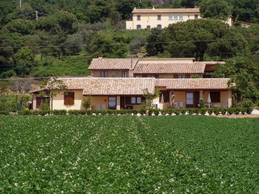 Casale Del Contadino Séjour à la ferme *