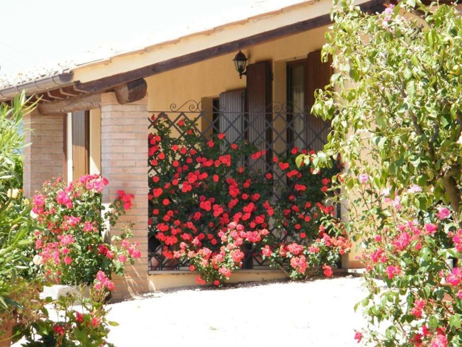 Casale Del Contadino *